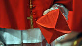 Concistoro per la creazione di 13 nuovi Cardinali