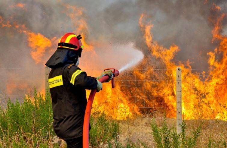 Incendi in Grecia: il Papa vicino alle persone colpite