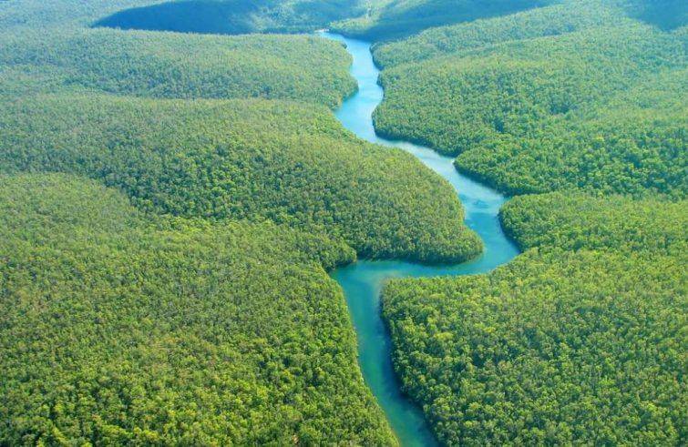 Sinodo Amazzonia: no a indifferenza, sì a responsabilità