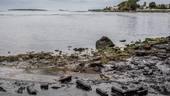 Mauritius, disastro ambientale