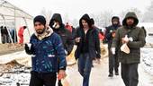 Rotta balcanica: emergenza umanitaria per 900 migranti